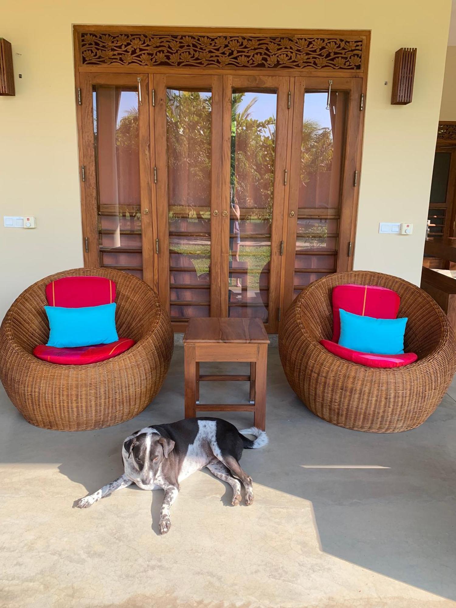 Villa Wild Lotus Yala Tissamaharama Exterior foto